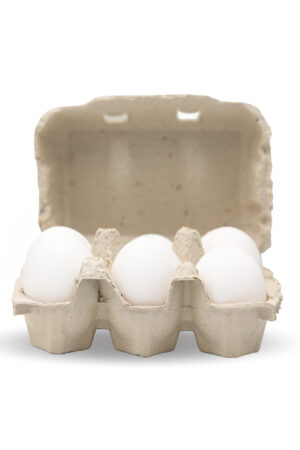 Freilandeier (SH & ZH)