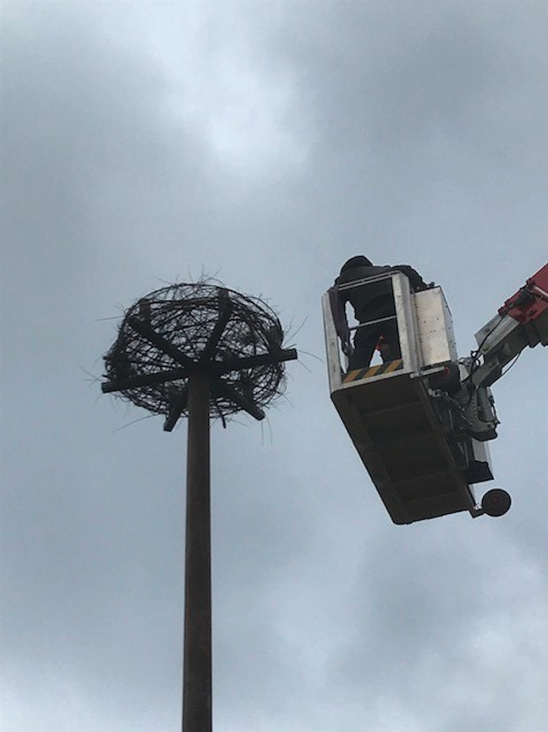 Personen stellen ein Storchennest am Lindenhof in Buchberg auf – noch ohne Storch